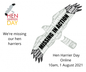 We're missing our hen harriers