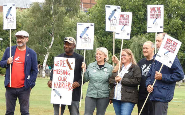 Hen Harrier Day 2018