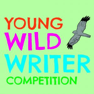 Young Wild Writers competition log
