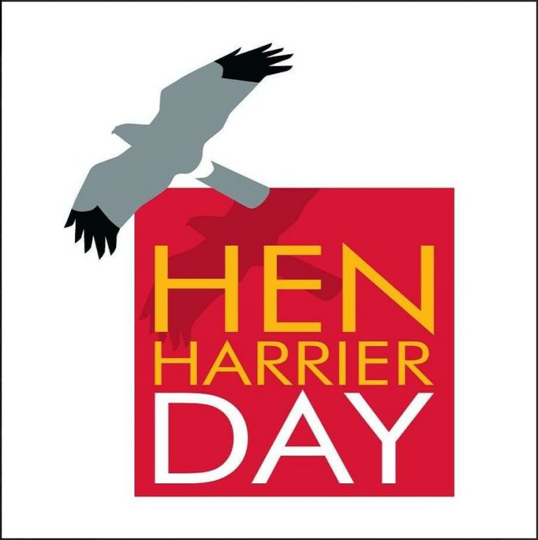 Hen Harrier Day Logo