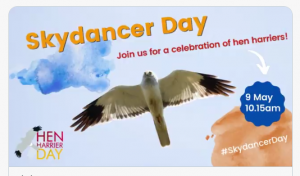 skydancer day poster @geemeff