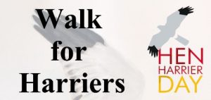 walk-for-harriers-snip