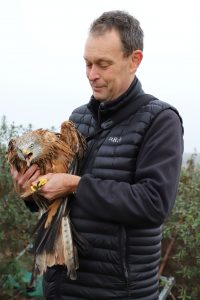 RSPB Scotland's Duncan Orr-Ewing with Red Kite