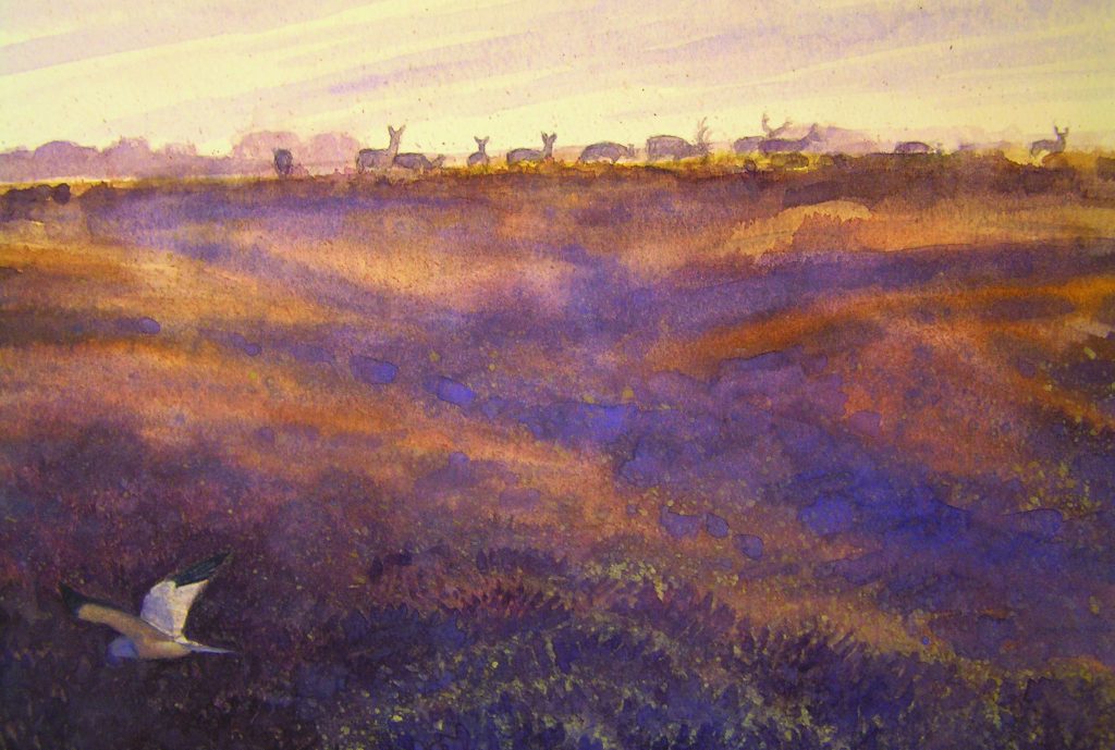 Male Hen Harrier in flight across moorland with deer herd in background, illustration by Dan Powell