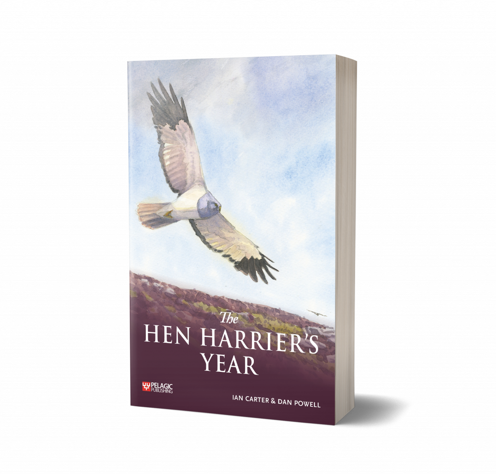 Front cover of The Hen Harrier's Year, a book by Ian Carter and Dan Powell