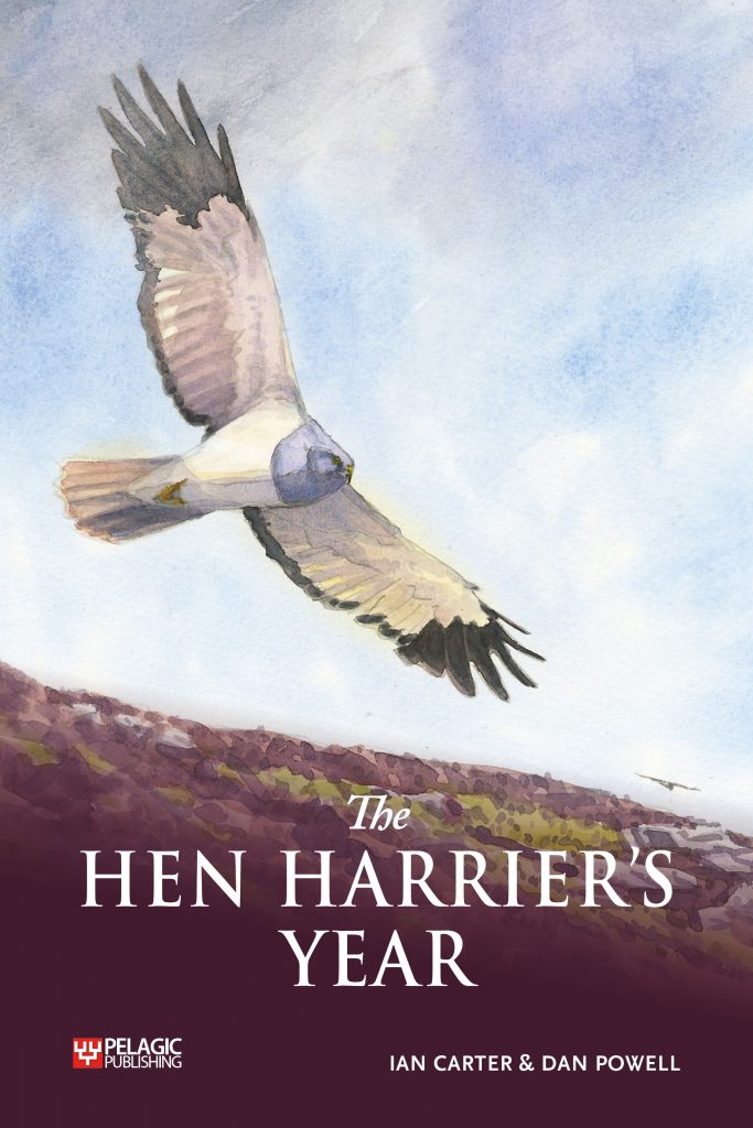 The Hen Harrier's Year front cover