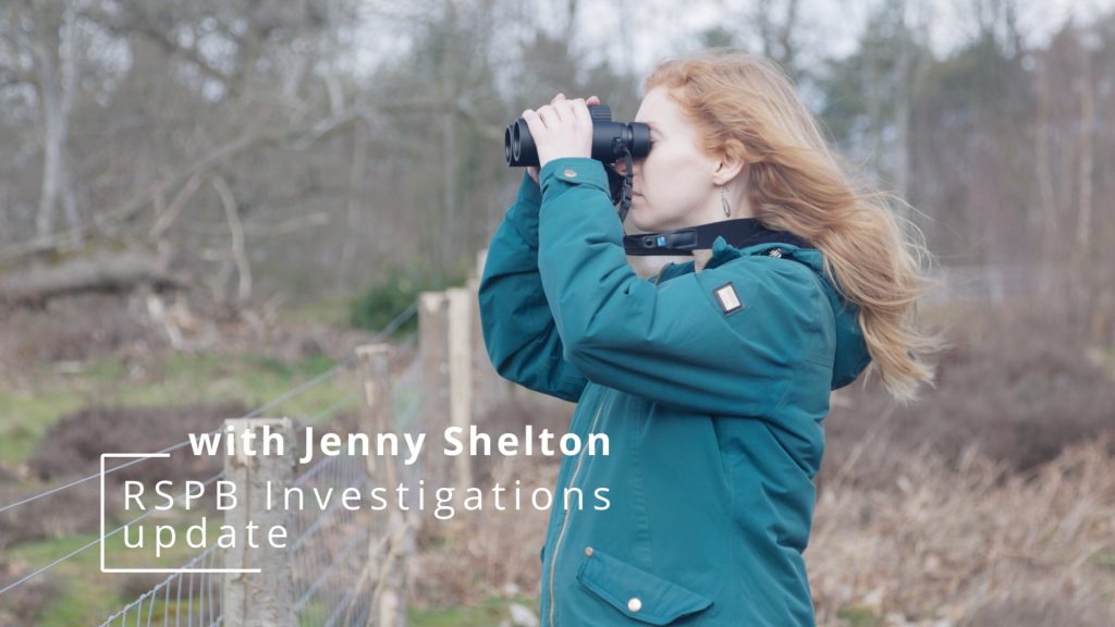 Jenny Shelton of RSPB Investigations