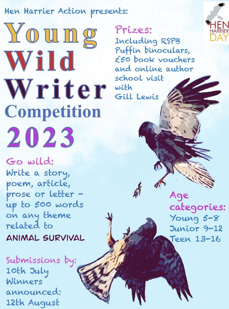 Poster with Young Wild Writer Competition details