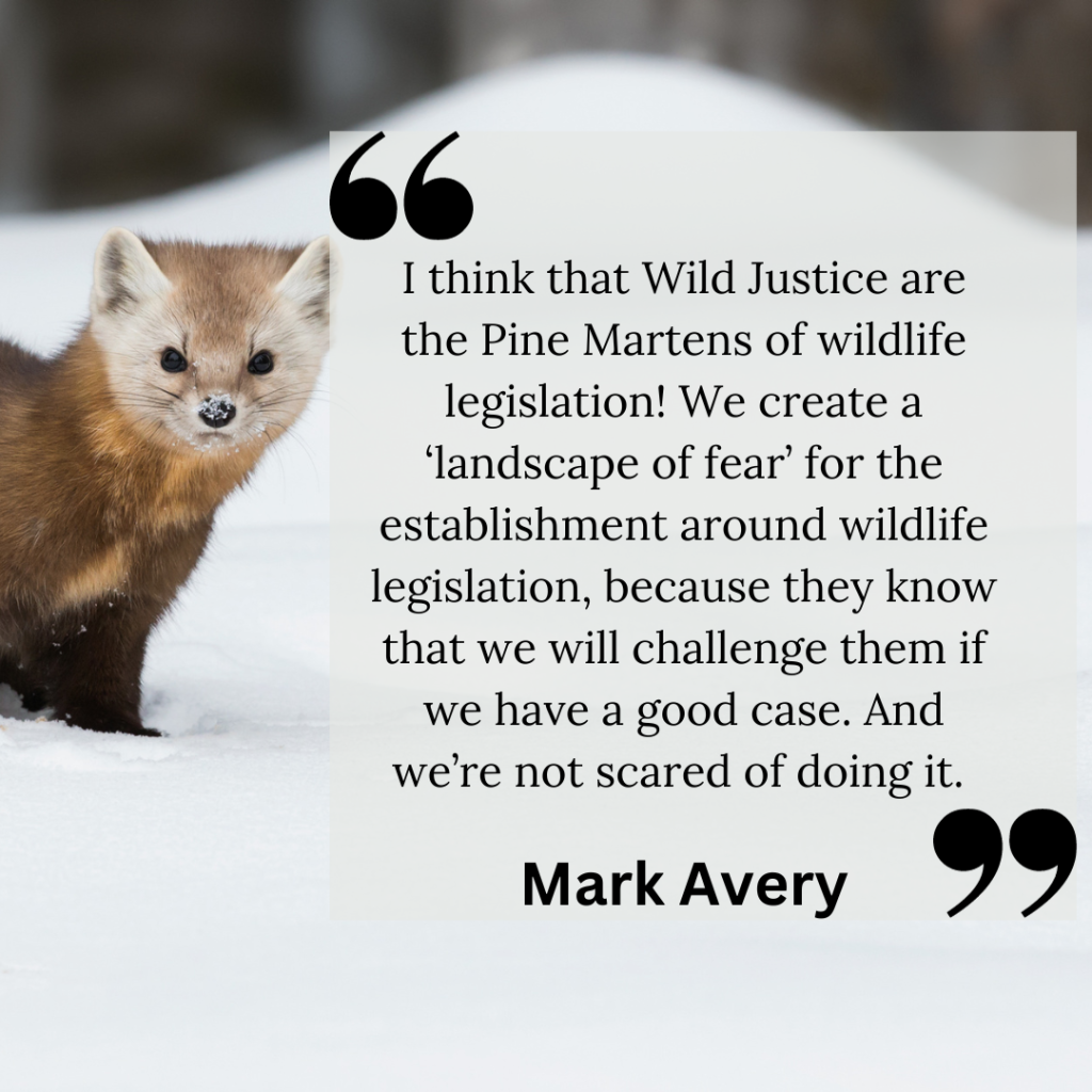 Mark Avery quote on why Wild Justice are the Pine Martens of wildlife legislation