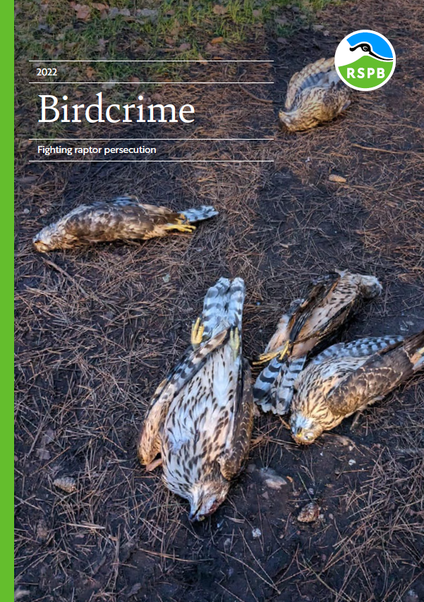 Front Cover of the 2022 RSPB Birdcrime Report, showing five dead goshawks, illegally killed in Suffolk by a gamekeeper