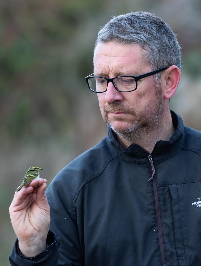 RSPB Head of Investigations Mark Thomas bird ringing