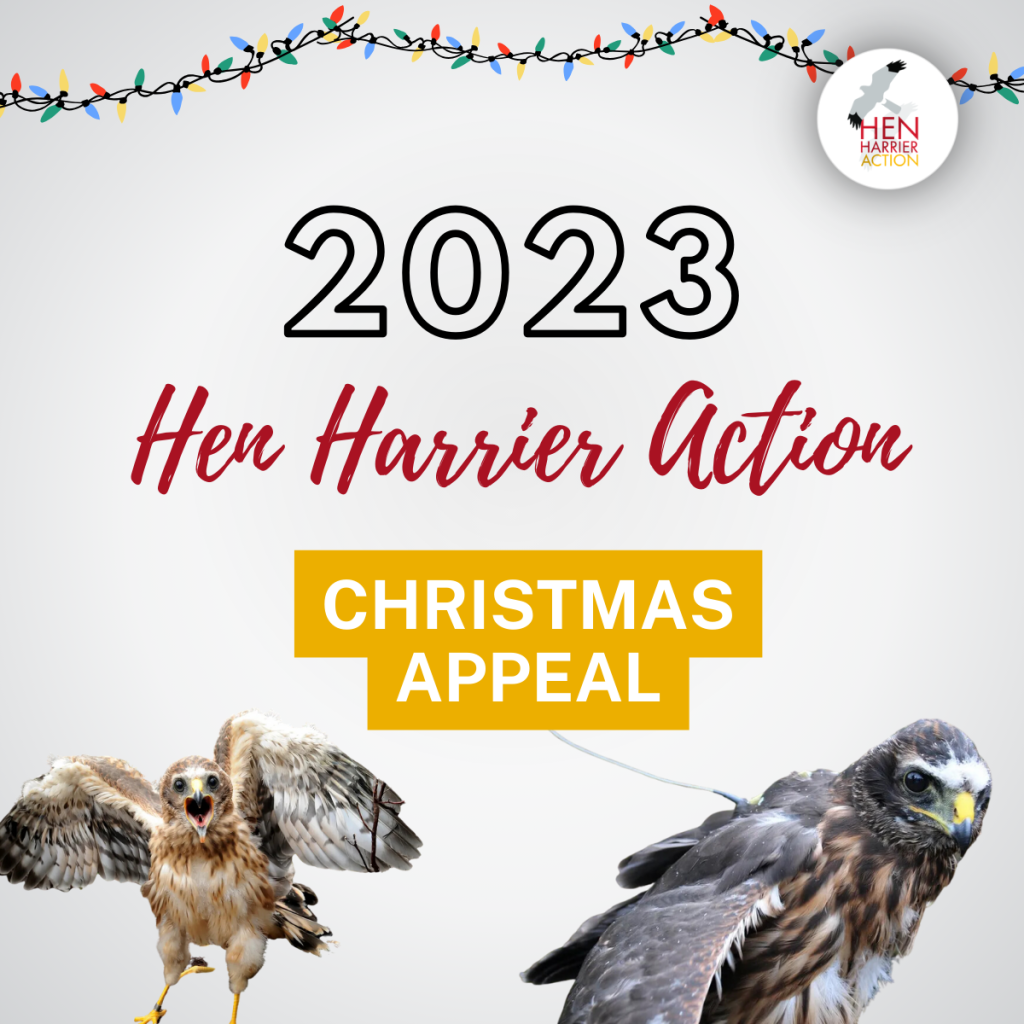 Poster for the 2023 Christmas Appeal to raise funds for satellite tags