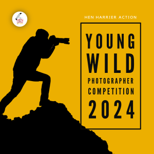 Poster image for Young Wild Photographer Competition