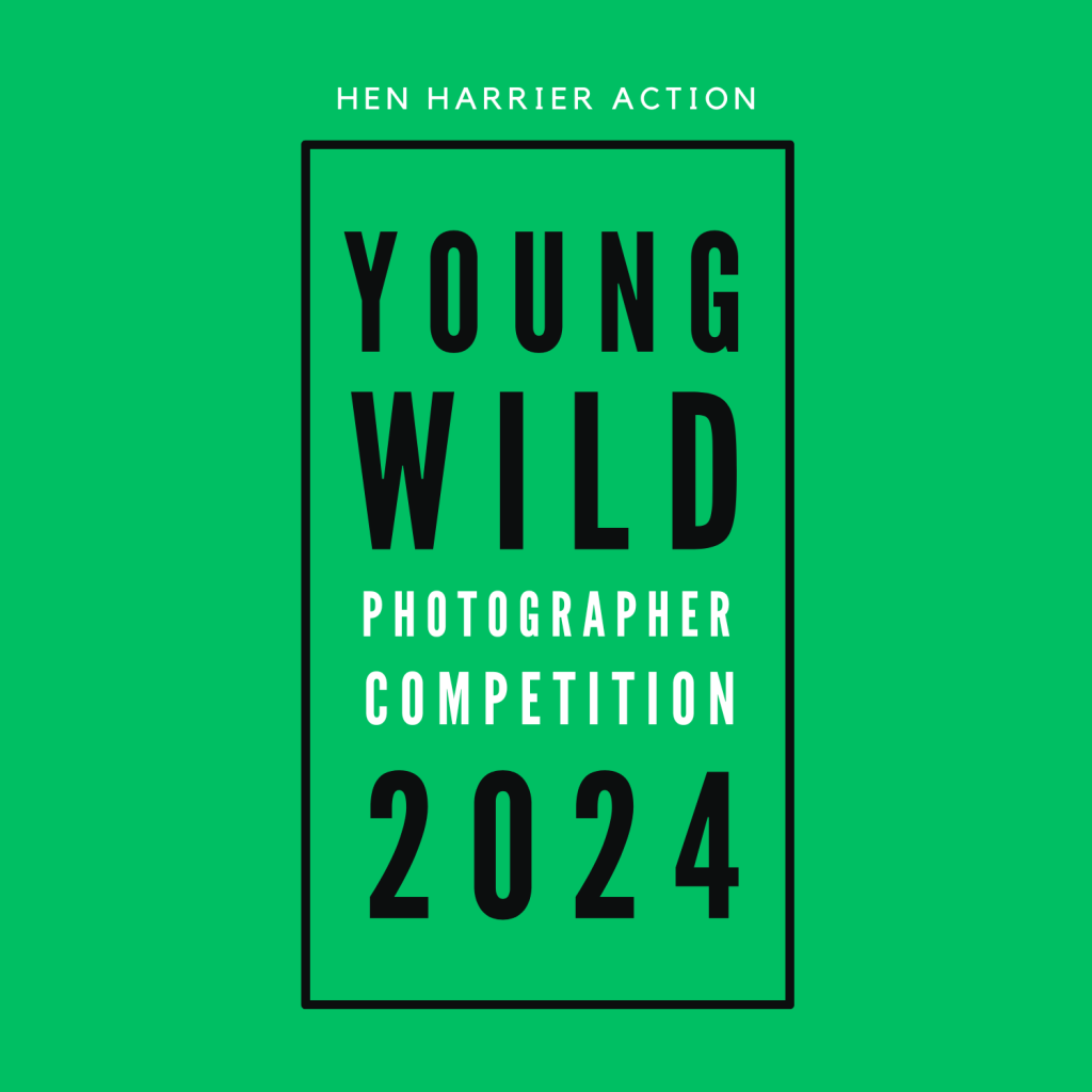 Young Wild Photographer competition poster