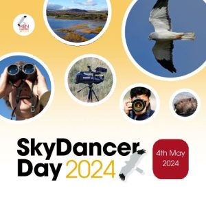 Skydancer Day 2024 poster with images