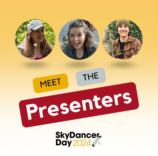 Skydancer Day post image