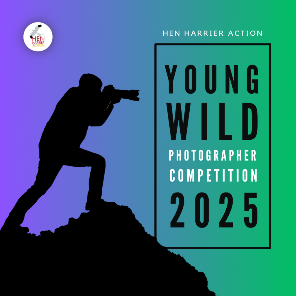 Young Wild Photographer Competition logo