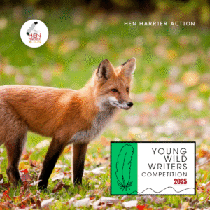 Image of fox cub with Young Wild Writers competition logo