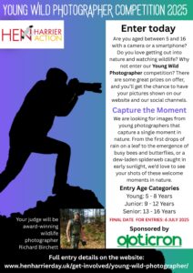 Young Wild Photographer poster image