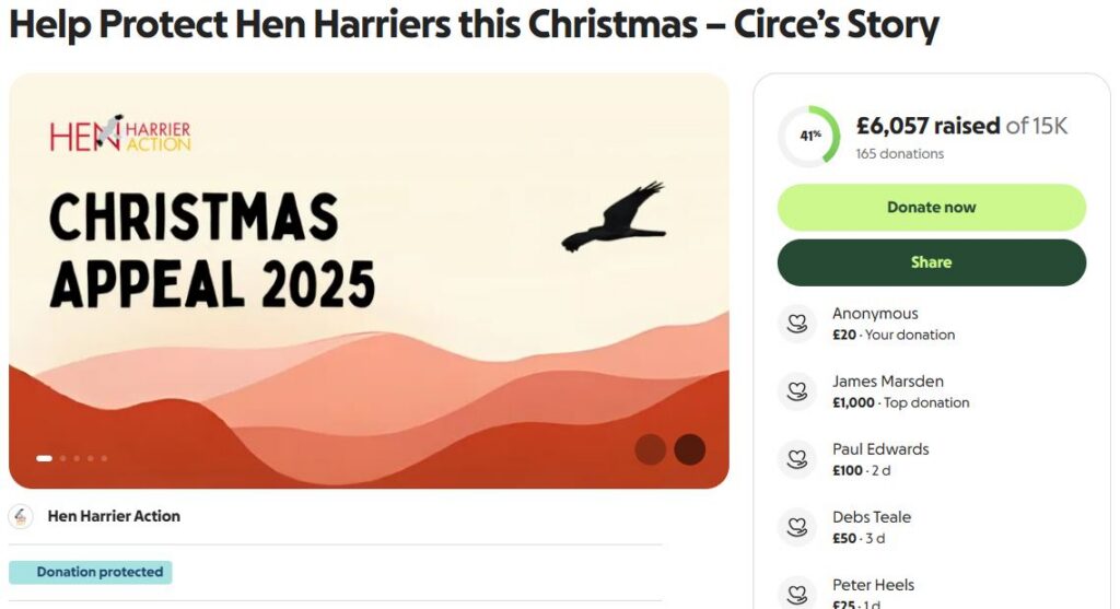 Screengrab of the GoFundMe Appeal page on 16th December
