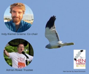 Indy Kiemel Greene and Adrian Rowe with shot of male Hen Harrier