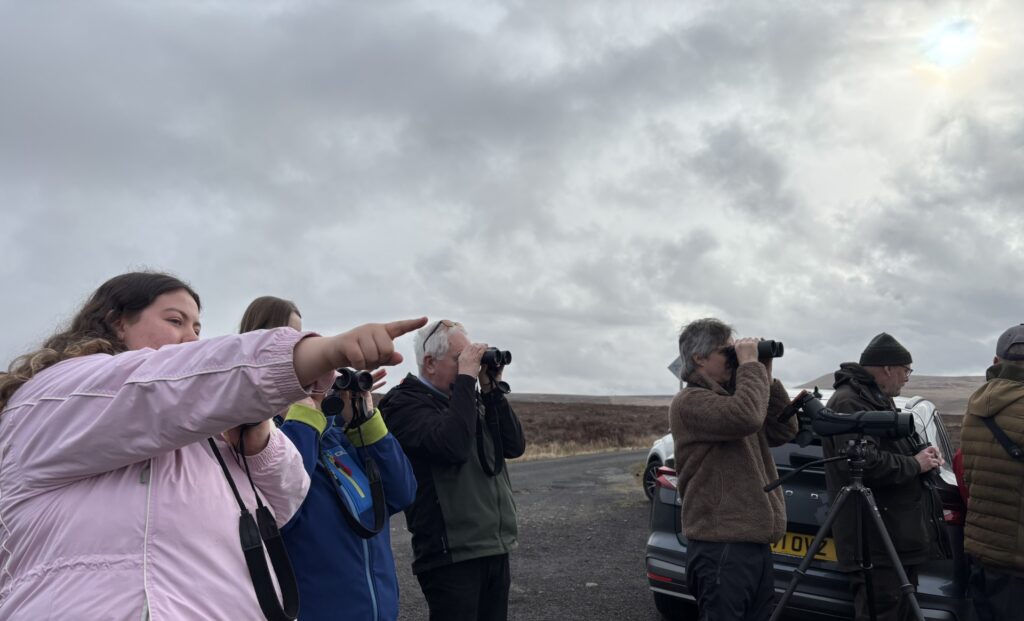 Visitors watching the skies for Hen Harriers