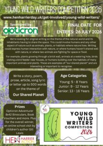 Young Wild Writers Poster