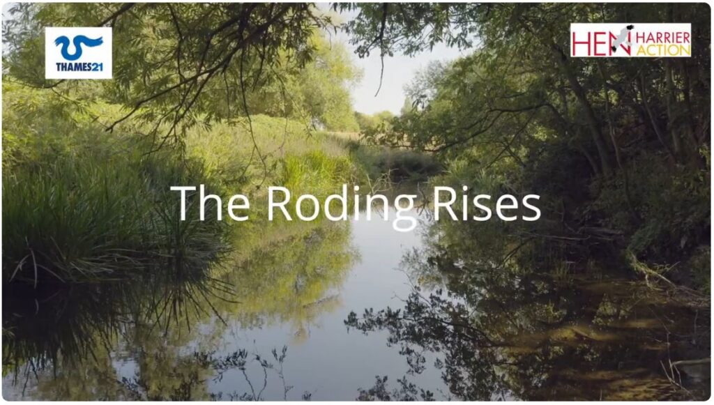 River scene with the words The Roding Rises