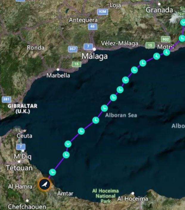 Map showing tagged Montagu's Harrier HV reaches North Africa