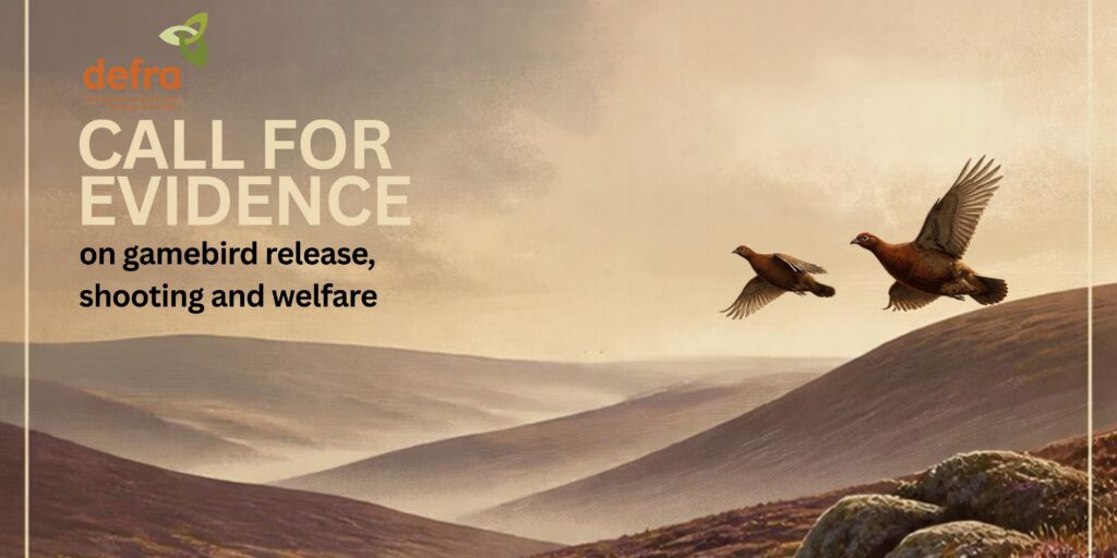 Defra Call for Evidence headline with grouse flying over moorland