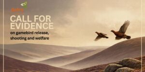 Defra Call for Evidence headline with grouse flying over moorland