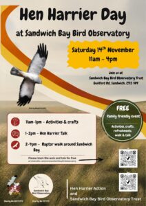 Poster for Sandwich Bird Observatory Hen Harrier Day event