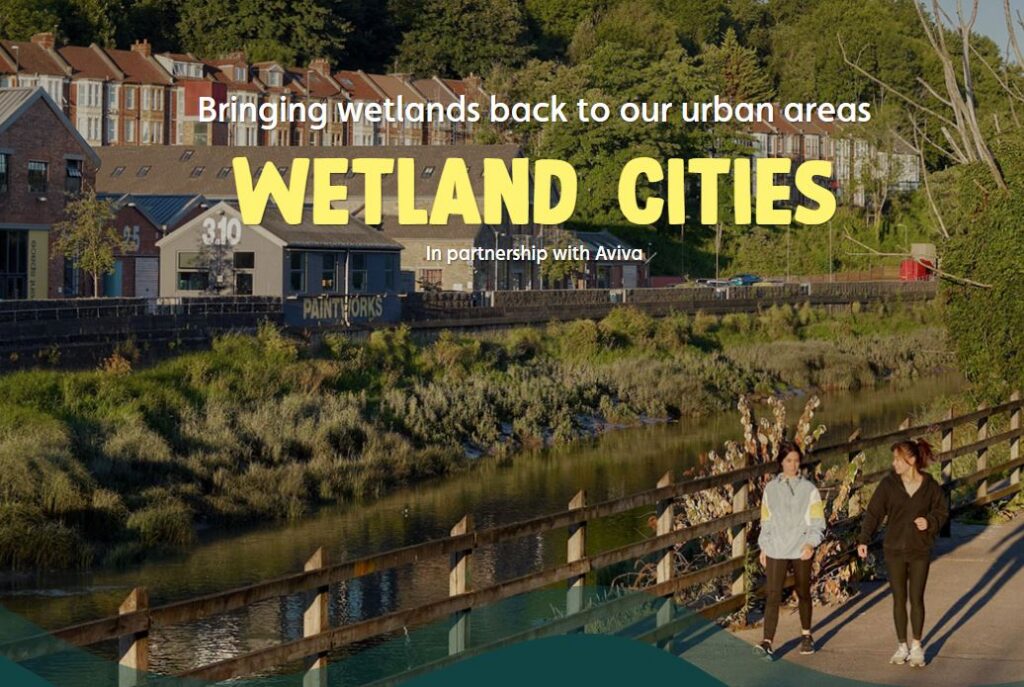 Wetland Cities image from WWT website