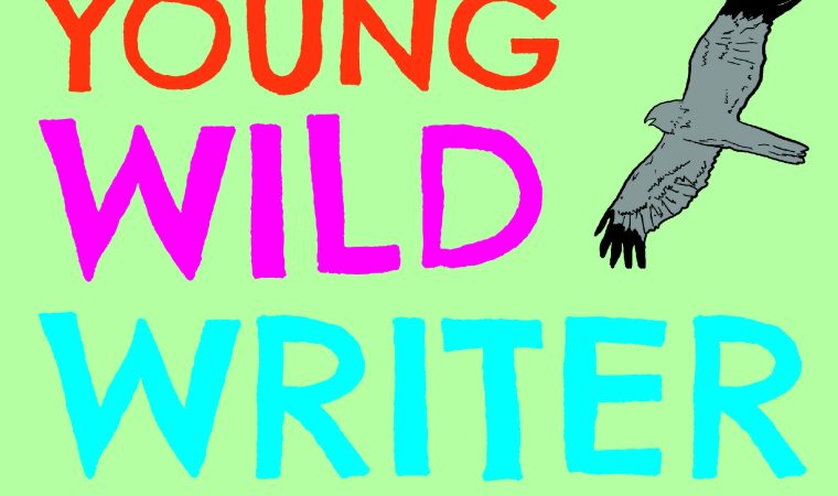 hen-harrier-writing-image-for-webpage Young Wild Writers competition log